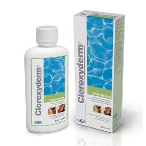 I.C.F. Clorexyderm Shampoo 4% dezinficējošais šampūns, 250 ml I.C.F. S.R.L. - 1